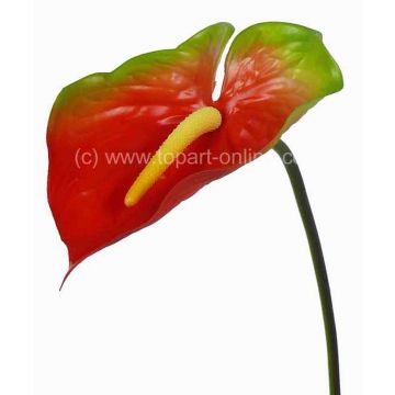 Flamingoblume künstlich MOIRA, rot-grün, 75cm, 13x18cm