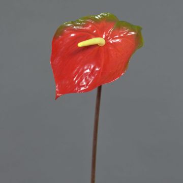 Flamingoblume künstlich MOIRA, rot-grün, 75cm, 13x18cm