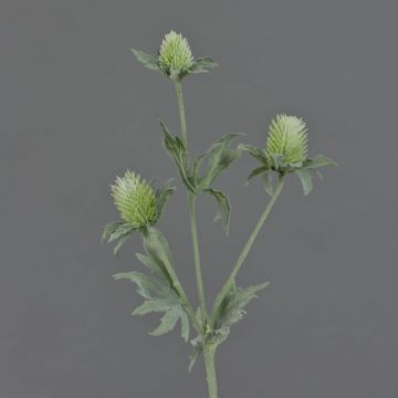 Künstliche Edeldistel SVEA, grün, 40cm, Ø2-3cm Künstliche Edeldistel SVEA, grün, 40cm, Ø2-3cm