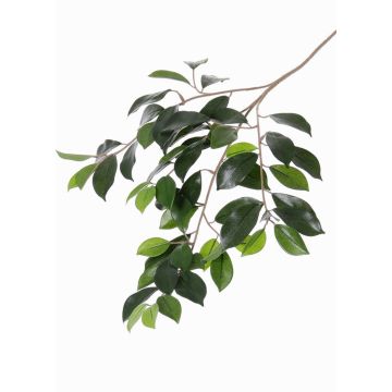 Kunst Ficus Microcarpa Zweig BHAO, 65cm