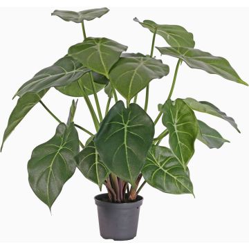 Kunstpflanze Syngonium PERAMI, grün, 45cm
