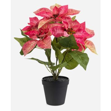 Künstlicher Weihnachtsstern GRULEN im Dekotopf, rosa, 40cm