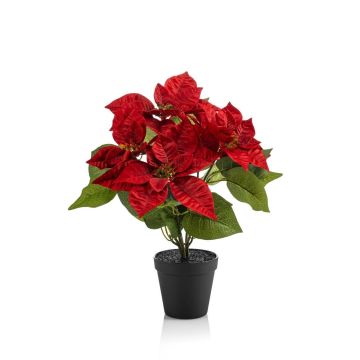 Künstlicher Weihnachtsstern GRULEN im Dekotopf, rot, 40cm Künstlicher Weihnachtsstern GRULEN im Dekotopf, rot, 40cm