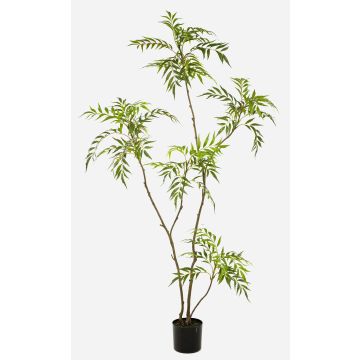 Baum künstlich Mahonie KLEANA, künstliche Stämme, grün, 180cm