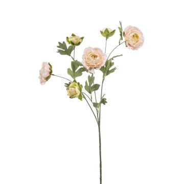Kunstzweig Ranunkel DAVELLA, rosa-creme, 80cm Kunstzweig Ranunkel DAVELLA, rosa-creme, 80cm