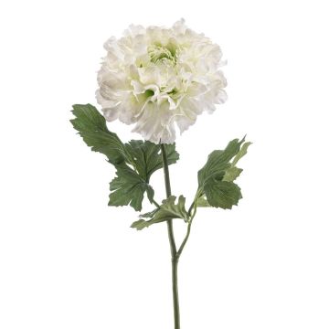 Künstliche Ranunkel ULISAN, creme-grün, 60cm, Ø14cm