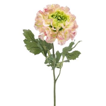 Künstliche Ranunkel ULISAN, rosa-grün, 60cm, Ø14cm