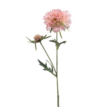 Kunst Zweig Scabiosa BASOLO, rosa-creme, 55cm