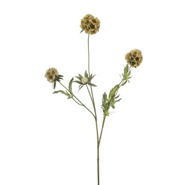 Dekozweig Stern Scabiosa RANIK, grün, 70cm