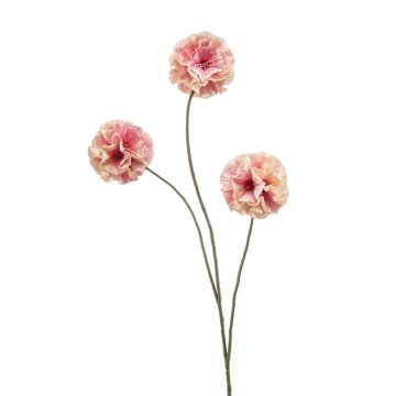 Künstliche Stern Scabiosa DESIRIO, pfirsich-rosa, 75cm