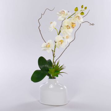 Kunstorchidee Phalaenopsis TIALDA, Sukkulenten, Keramikvase, weiß, 50cm Kunstorchidee Phalaenopsis TIALDA, Sukkulenten, Keramikvase, weiß, 50cm