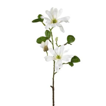 Kunstblumen Zweig Sternmagnolie BLOVI, creme, 60cm