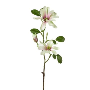 Kunstblumen Zweig Sternmagnolie BLOVI, hellgrün, 60cm