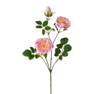 Kunstblumen Zweig Pfingstrose KROVEL, rosa, 75cm