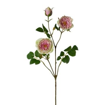 Kunstblumen Zweig Pfingstrose KROVEL, grün-rosa, 75cm