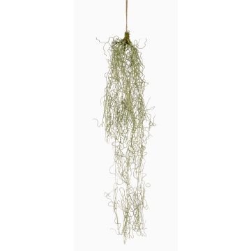 Kunstpflanze Sukkulente Tillandsia usneoides Hänger TAMON, grün, 90cm