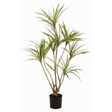 Kunstbaum Dracaena marginata SHALLU, Kunststämme, grün, 120cm Kunstbaum Dracaena marginata SHALLU, Kunststämme, grün, 120cm