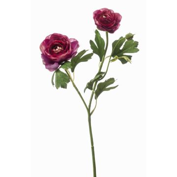 Dekozweig Ranunkel Blumenzweig FLORANCE, dunkelviolett, 45cm Dekozweig Ranunkel Blumenzweig FLORANCE, dunkelviolett, 45cm
