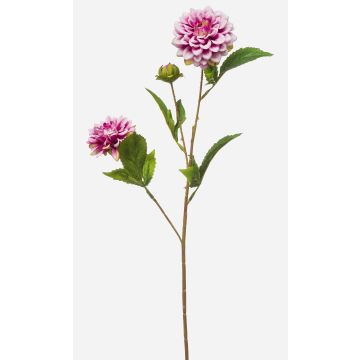 Kunstzweig Dahlie CEVAST, lila-creme, 70cm, Ø7-8cm Kunstzweig Dahlie CEVAST, lila-creme, 70cm, Ø7-8cm