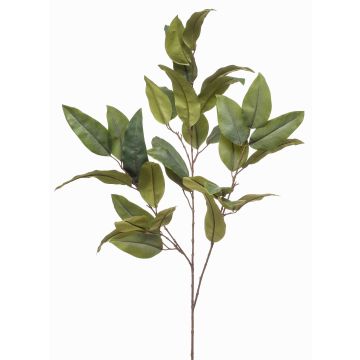 Künstlicher Eukalyptuszweig BELUNI, grün, 125cm