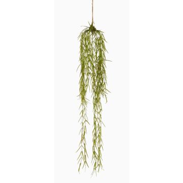 Kunstpflanze Sukkulente Hoya linearis Hänger TAMON, grün, 90cm
