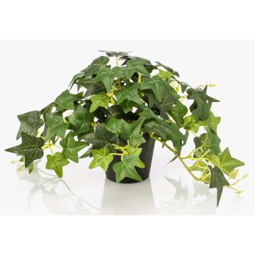 Künstliche Efeu MIHALLE im Dekotopf, grün, 19cm