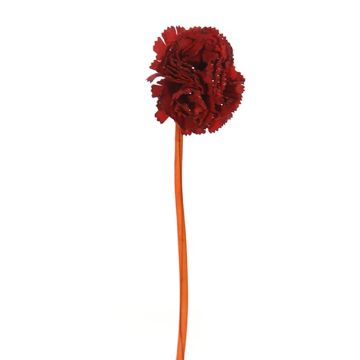 Kunstblume Nelke ODILIANA mit Glitzer, rot, 25cm Kunstblume Nelke ODILIANA mit Glitzer, rot, 25cm