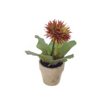 Kunstblume Gerbera YUNERA im Dekotopf, braun-grün, 17cm Kunstblume Gerbera YUNERA im Dekotopf, braun-grün, 17cm