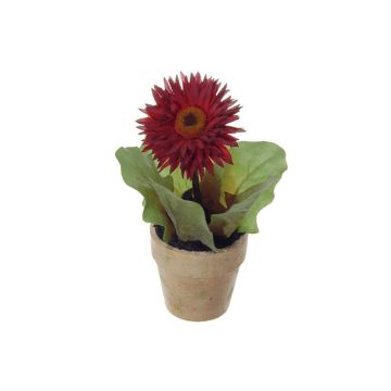 Kunstblume Gerbera YUNERA im Dekotopf, braun-rot, 17cm Kunstblume Gerbera YUNERA im Dekotopf, braun-rot, 17cm