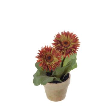 Kunstblume Gerbera YUNERA im Dekotopf, braun-grün, 20cm Kunstblume Gerbera YUNERA im Dekotopf, braun-grün, 20cm