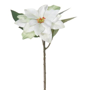 Kunstblume Weihnachtsstern ARILANA, weiß, 30cm Kunstblume Weihnachtsstern ARILANA, weiß, 30cm
