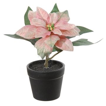Kunstblume Weihnachtsstern DAYLANA im Dekotopf, rosa, 15cm Kunstblume Weihnachtsstern DAYLANA im Dekotopf, rosa, 15cm