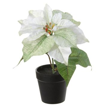 Kunstblume Weihnachtsstern SAYLANA im Dekotopf, weiß, 24cm Kunstblume Weihnachtsstern SAYLANA im Dekotopf, weiß, 24cm