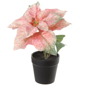 Kunstblume Weihnachtsstern SAYLANA im Dekotopf, rosa, 24cm Kunstblume Weihnachtsstern SAYLANA im Dekotopf, rosa, 24cm