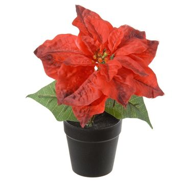 Kunstblume Weihnachtsstern SAYLANA im Dekotopf, rot, 24cm Kunstblume Weihnachtsstern SAYLANA im Dekotopf, rot, 24cm