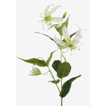 Kunstblume Gloriosa FUJITA, creme-grün, 80cm, Ø15cm