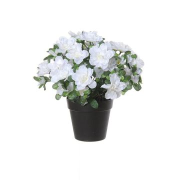 Kunstblume Azalee SASIANA im Dekotopf, weiß, 28cm Kunstblume Azalee SASIANA im Dekotopf, weiß, 28cm