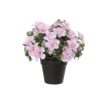 Kunstblume Azalee SASIANA im Dekotopf, weiß-rosa, 28cm Kunstblume Azalee SASIANA im Dekotopf, weiß-rosa, 28cm