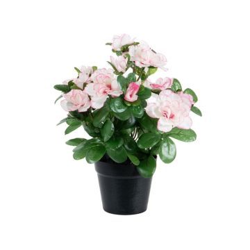 Kunstblume Azalee MASSIANA im Dekotopf, weiß-rosa, 25cm Kunstblume Azalee MASSIANA im Dekotopf, weiß-rosa, 25cm