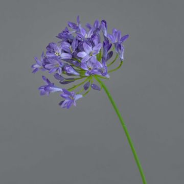 Deko Kunstblume Agapanthus PHILINA, lila, 75cm, Ø14cm