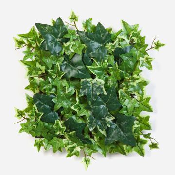 Künstliche Efeu Hecke / Matte LUKA, grün-weiß, 30x30cm Künstliche Efeu Hecke / Matte LUKA, grün-weiß, 30x30cm