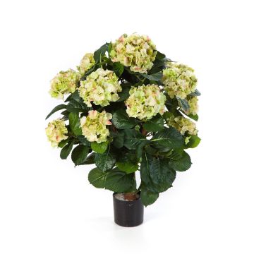 Kunstblume Hortensie HARUKA auf Stamm, grün, 60cm, Ø9-16cm
