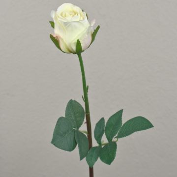 Kunst Rose SAPINA, creme-aprikose, 60cm, Ø6cm
