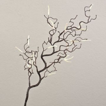 Künstlicher Haselnusszweig BOLTON mit Kätzchen, braun-weiß, 65cm Künstlicher Haselnusszweig BOLTON mit Kätzchen, braun-weiß, 65cm