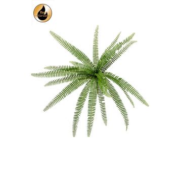 Kunstpflanze Schwertfarn DREGON auf Steckstab, schwer brennbar, grün, 60cm Kunstpflanze Schwertfarn DREGON auf Steckstab, schwer brennbar, grün, 60cm