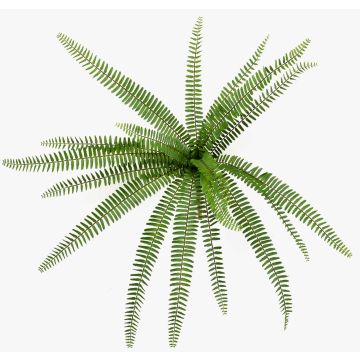 Kunstpflanze Schwertfarn DREGON auf Steckstab, schwer brennbar, grün, 60cm