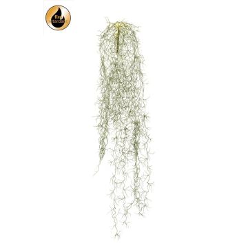 Künstliche Sukkulente Tillandsia usneoides GRALER, Steckstab, schwer brennbar, grau, 90cm