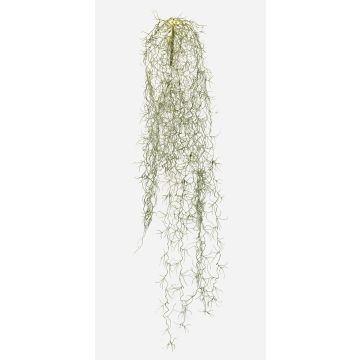 Künstliche Sukkulente Tillandsia usneoides GRALER, Steckstab, schwer brennbar, grau, 90cm