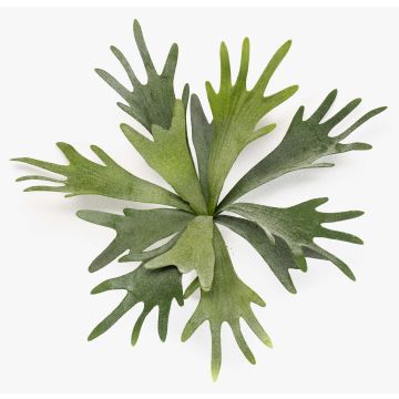 Fake Pflanze Geweihfarn VIGRAL, Steckstab, schwer brennbar, grün, 35cm