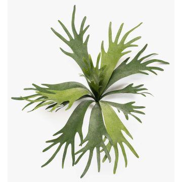 Fake Pflanze Geweihfarn VIGRAL, Steckstab, schwer brennbar, grün, 50cm Fake Pflanze Geweihfarn VIGRAL, Steckstab, schwer brennbar, grün, 50cm